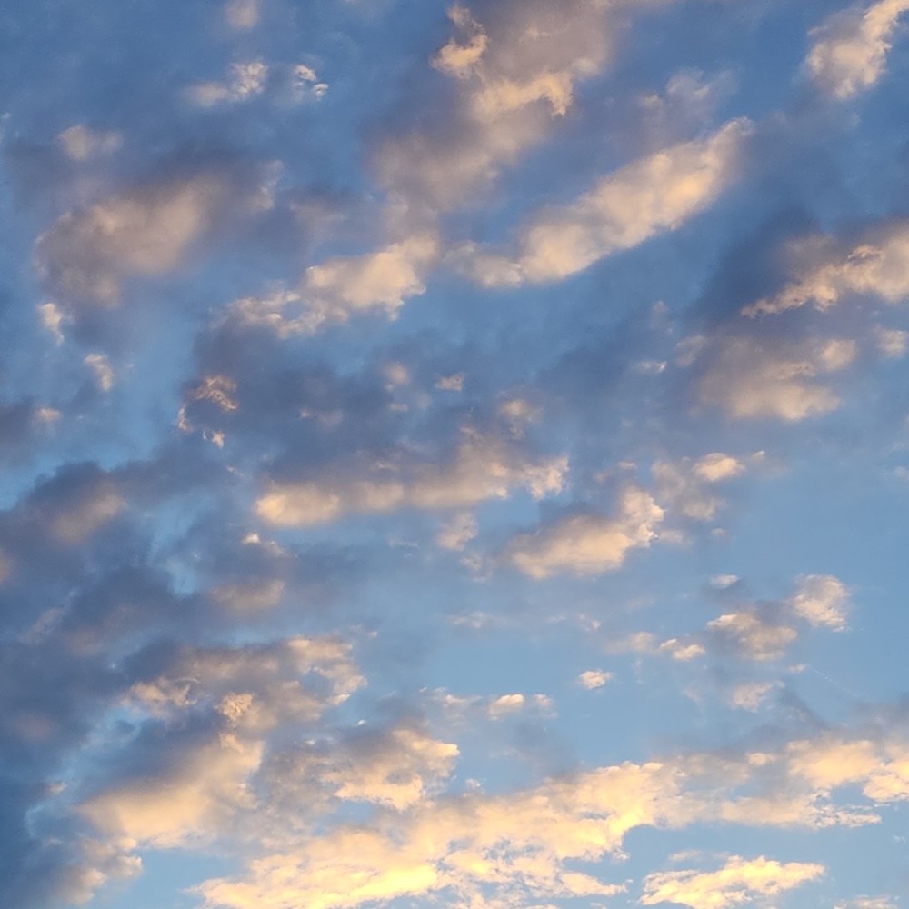 Meet your Posher, Soap